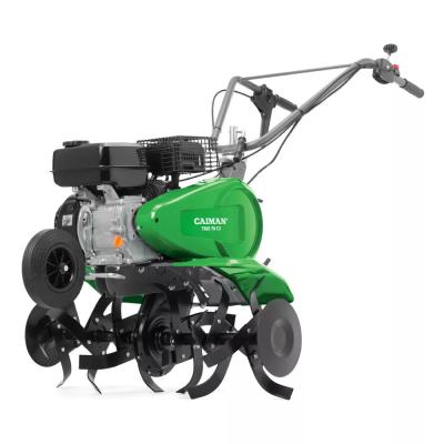 Купить Культиватор бензиновый Caiman Trio 70 C3 в интернет магазине Murav.ru в Хабаровске Купить Культиватор бензиновый Caiman Trio 70 C3 в интернет магазине Murav.ru в Хабаровске